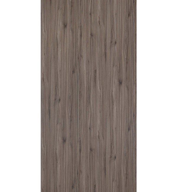 Vienna Beech