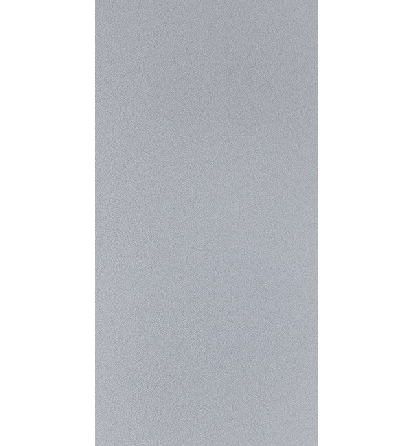 Akita Grey