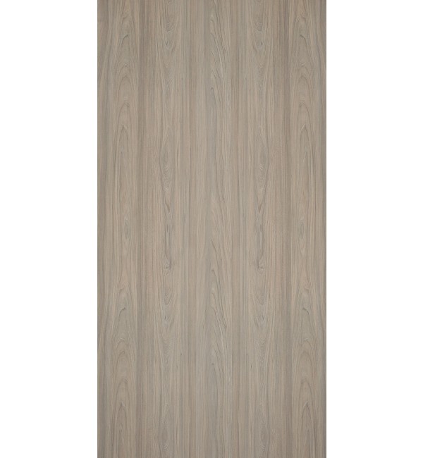 Nevada Elm