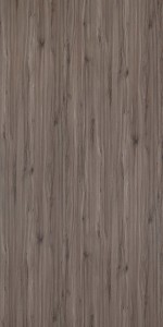 Vienna Beech