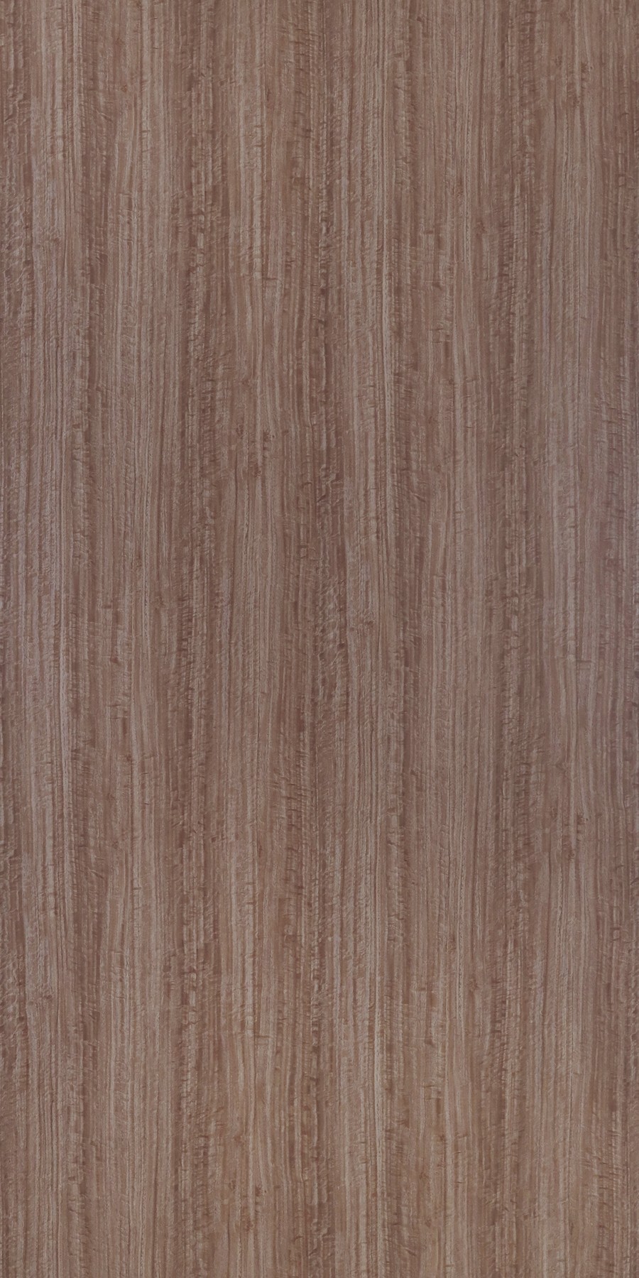 Pure Eucalyptus