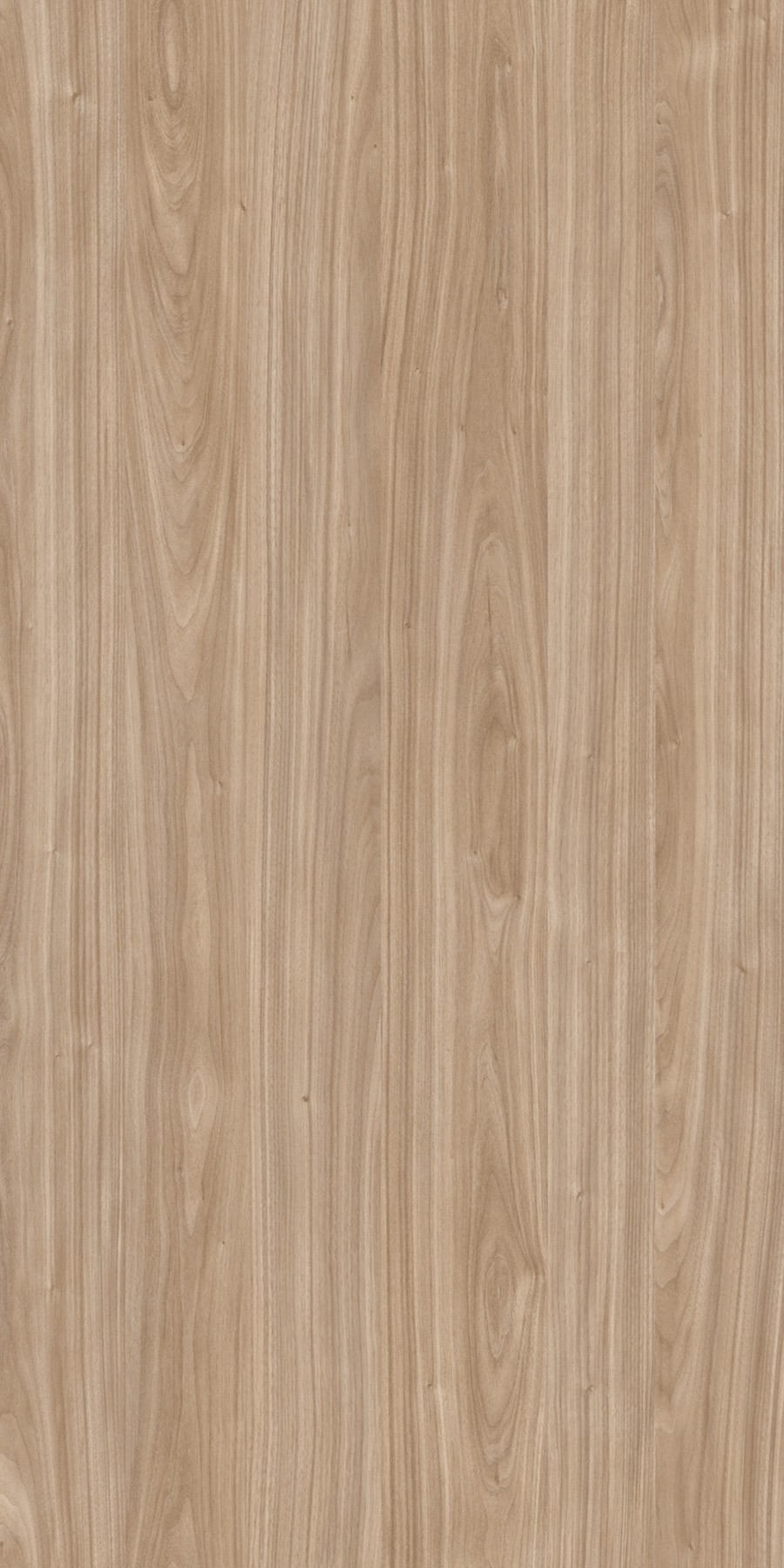 Nordic Walnut