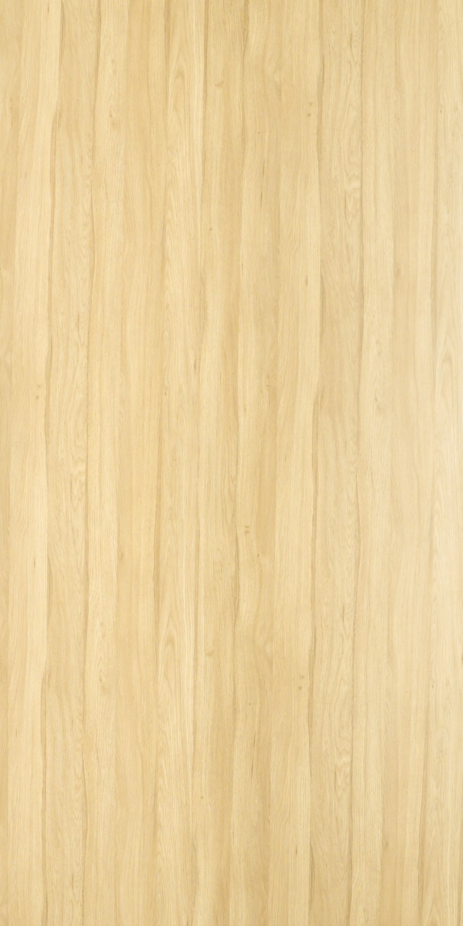 Primeval Oak