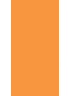 Light Orange